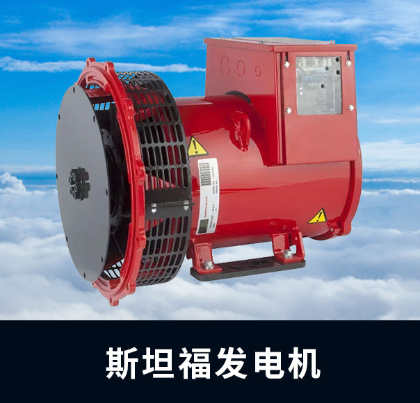 頂博斯坦福發(fā)電機系列